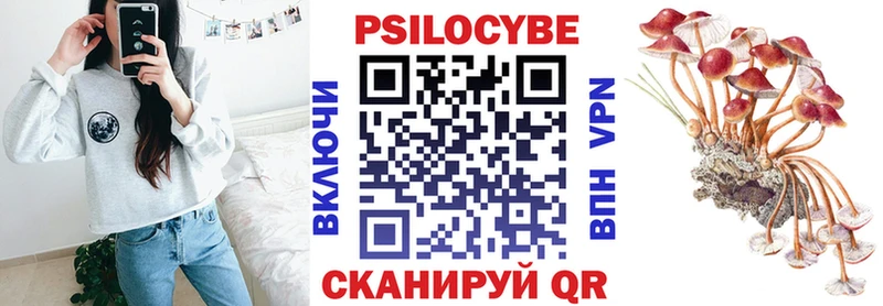 Галлюциногенные грибы Psilocybe  Палласовка 