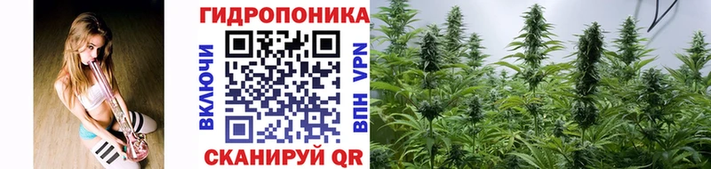 Бошки Шишки ГИДРОПОН Палласовка